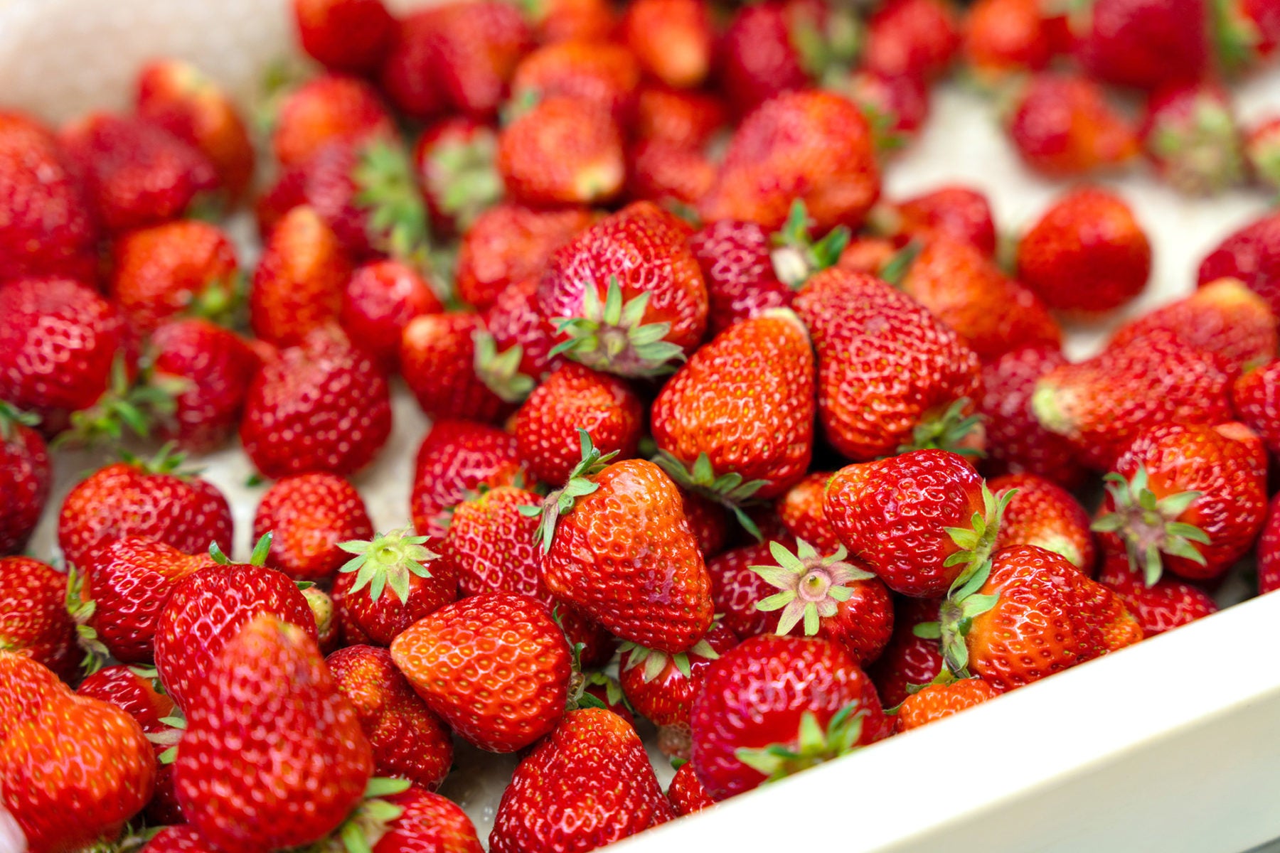 Fresh local strawberries
